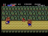 une photo d'Ã©cran de Double Dragon sur Sega Master System